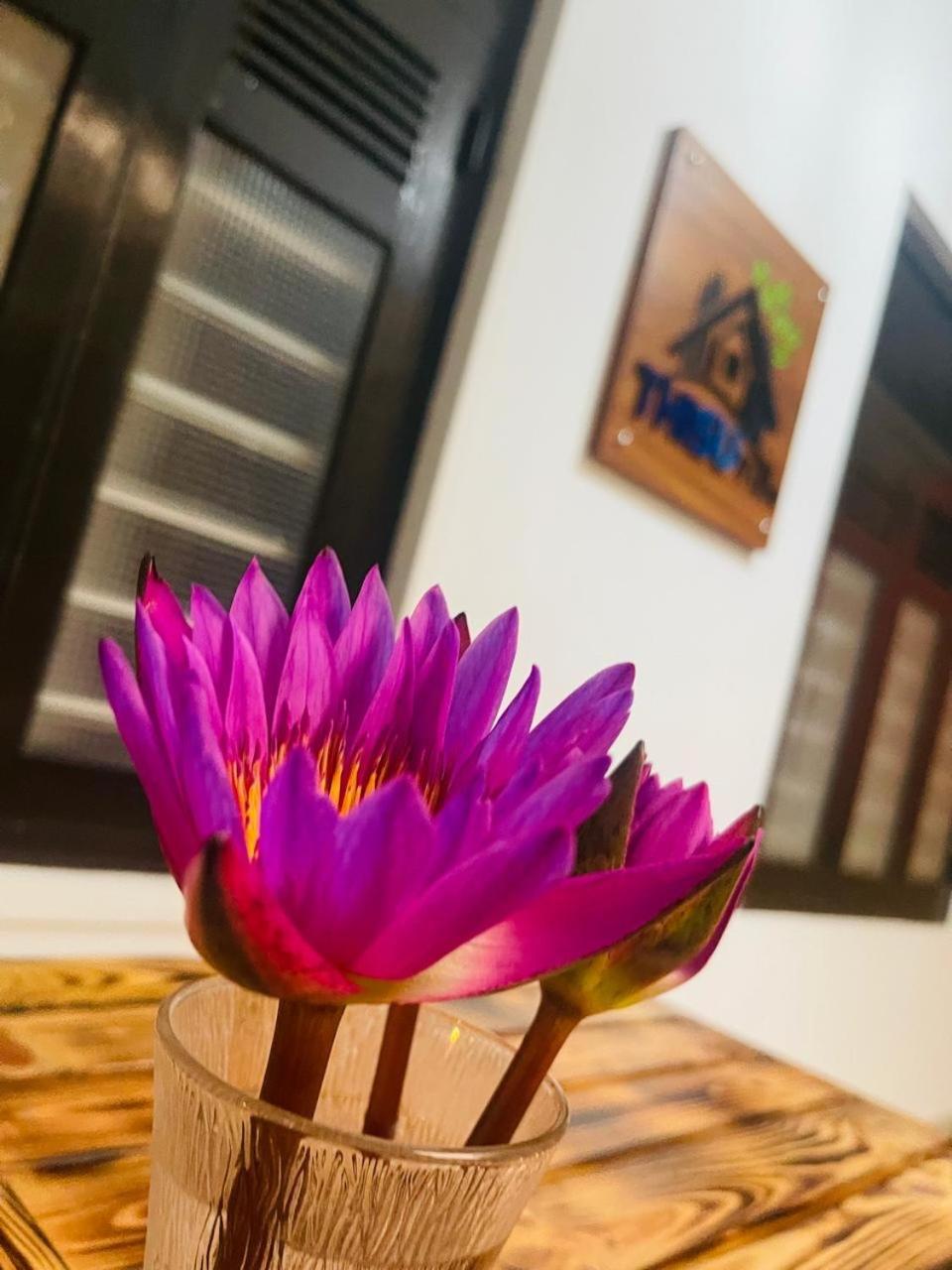Thisu Villa Dikwella Esterno foto